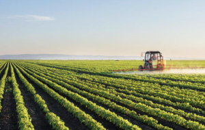 The Project is supporting the government's efforts to increase the land area available for agriculture, in line with the national development strategy Vision 2030.
